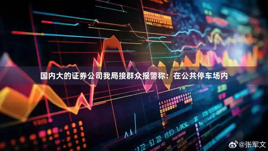 国内大的证券公司我局接群众报警称：在公共停车场内