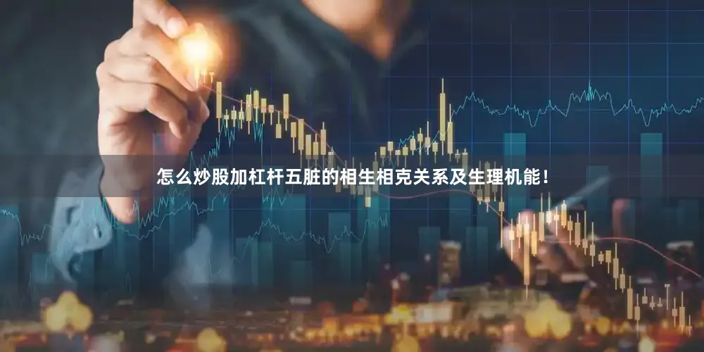 怎么炒股加杠杆五脏的相生相克关系及生理机能！